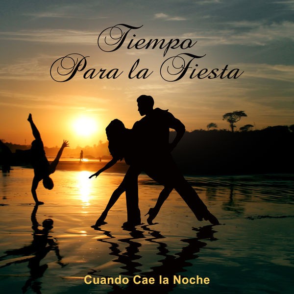La fiesta de la noche