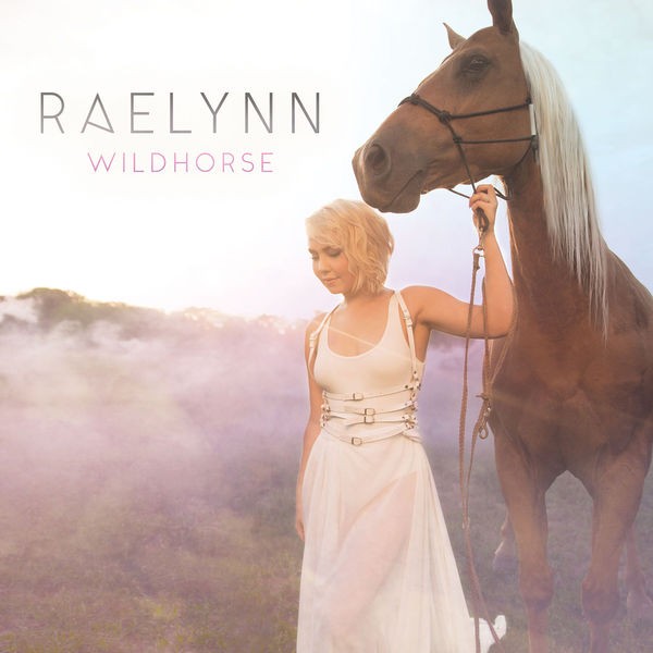 Say (Feat. Dan + Shay)