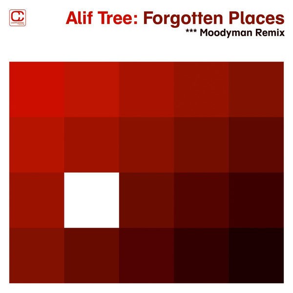 Forgotten Places (Moodymann Remix)