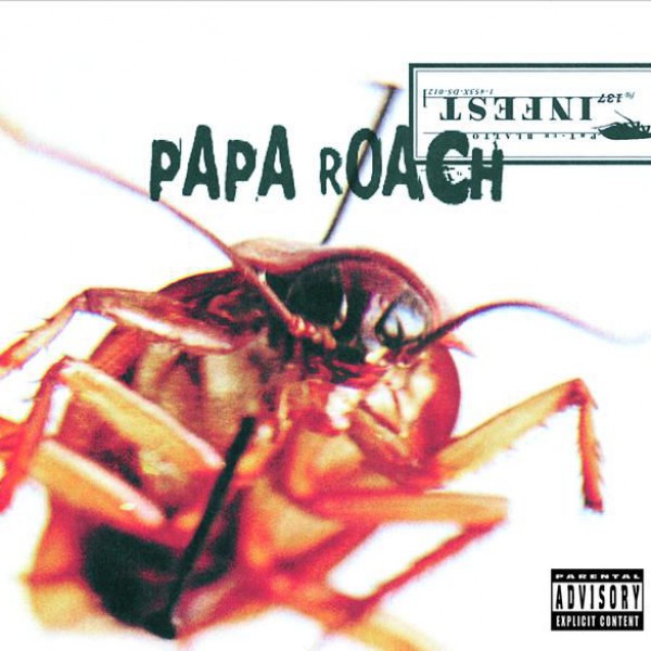Between Angels And Insects