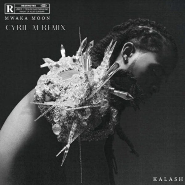Mwaka Moon - Remix