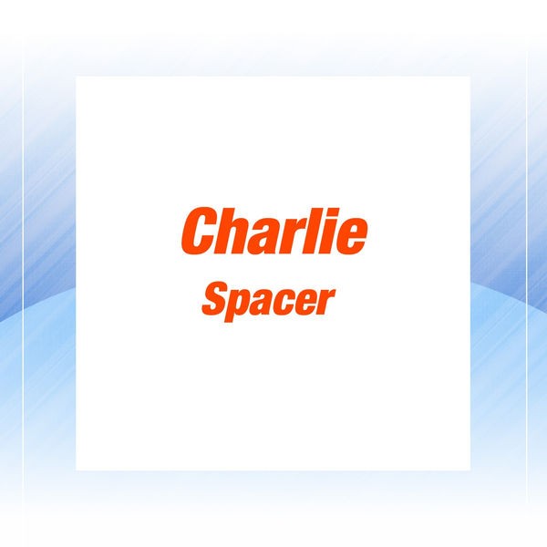 Spacer Woman - Original Version