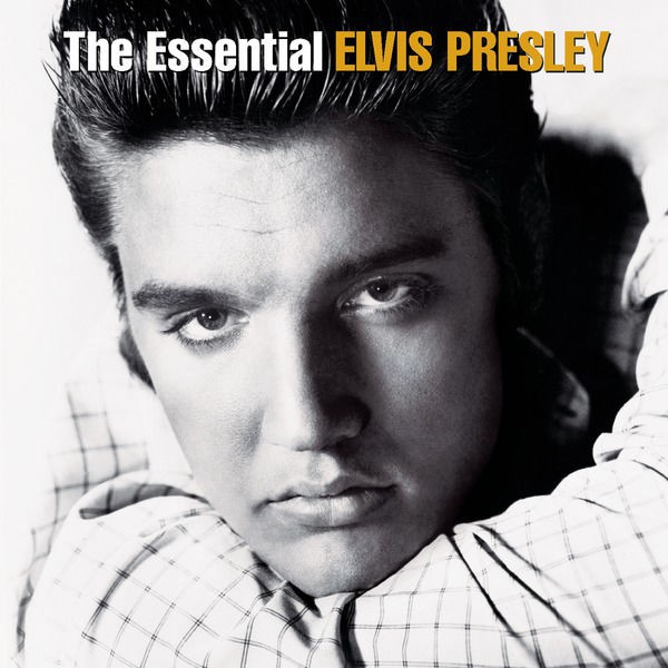 All Shook Up