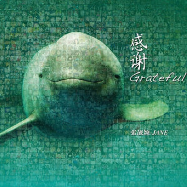 画心