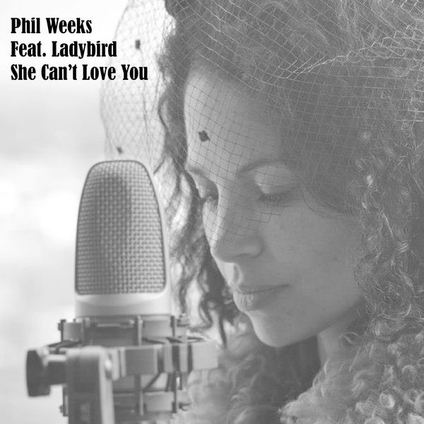 She Can't Love You (Radio Edit)